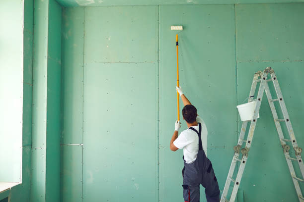 Best Air Quality Testing for Mold Spores  in Chatham, IL