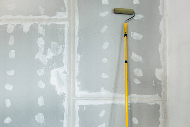 Best Environmental Consulting for Mold Prevention  in Chatham, IL