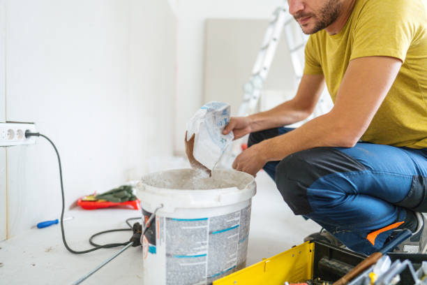 Best Comprehensive Air Testing for Mold Contaminants  in Chatham, IL
