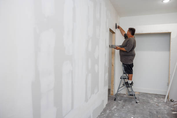 Best Dehumidification Services  in Chatham, IL