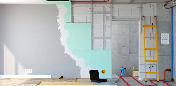 Best Attic Mold Removal  in Chatham, IL