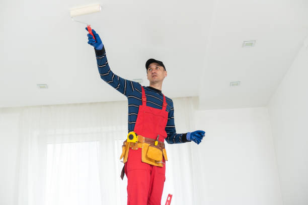 Best Post-Remediation Verification Testing  in Chatham, IL