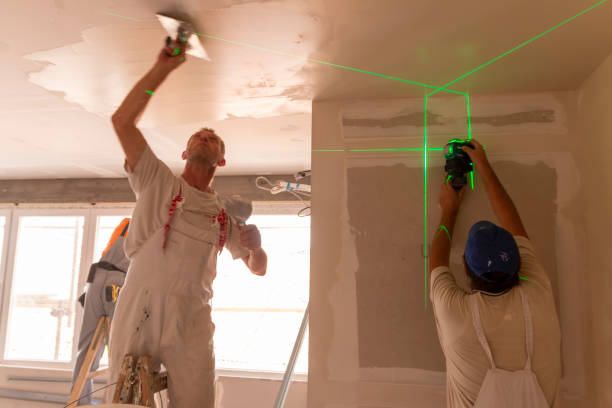 Professional Mold Removal in Chatham, IL