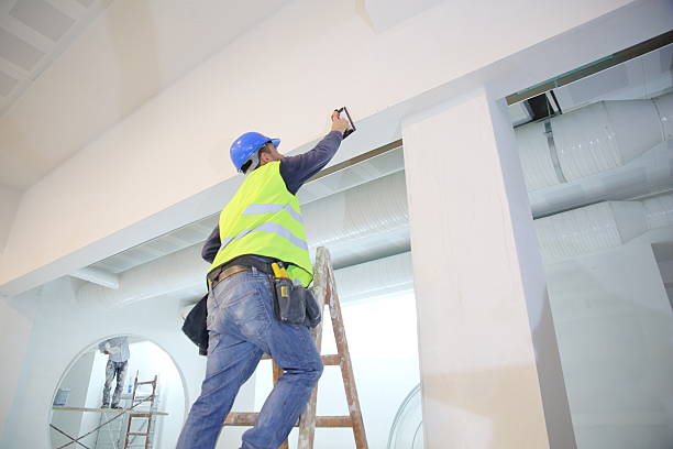 Best Forensic Mold Investigation  in Chatham, IL