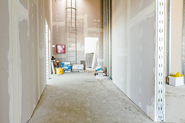 Best Asbestos and Lead Testing During Mold Inspection  in Chatham, IL