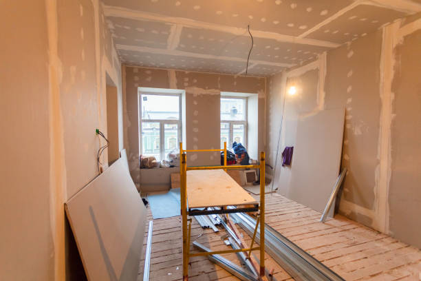 Best Crawl Space Mold Remediation  in Chatham, IL